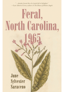 Feral, North Carolina, 1965