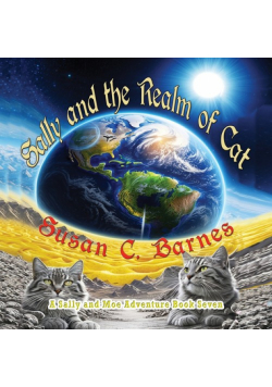 Sally and the Realm of Cat