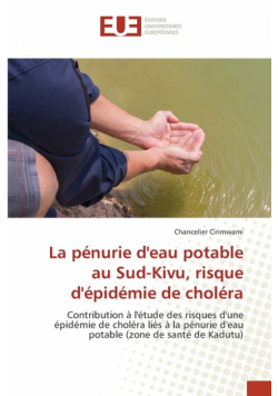 La pénurie d'eau potable au Sud-Kivu, risque d'épidémie de choléra