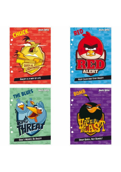 Wkłady do segregatora A5 Angry Birds 10 sztuk mix