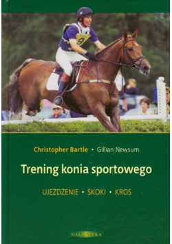 Trening konia sportowego