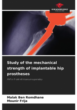 Study of the mechanical strength of implantable hip prostheses