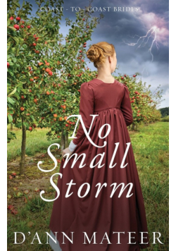 No Small Storm