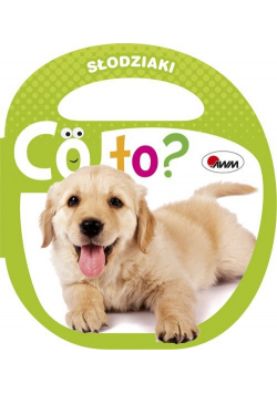 Co to Słodziaki