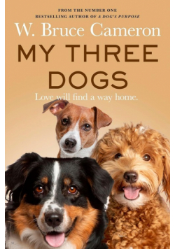 My Three Dogs