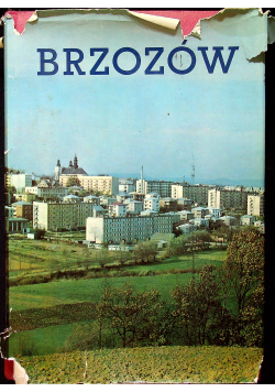 Brzozów