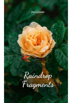 Raindrop Fragments
