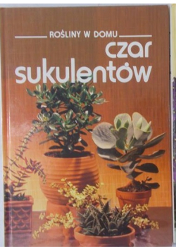 Rośliny w domu Czar sukulentów