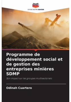 Programme de développement social et de gestion des entreprises minières SDMP