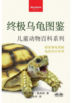 《终极乌龟图鉴：儿童版》