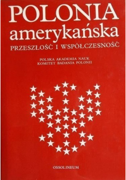 Polonia amerykańska przeszłość i współczesność
