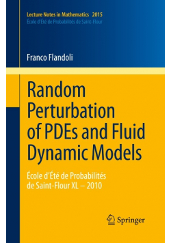 Random Perturbation of PDEs and Fluid Dynamic Models