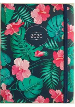Kalendarz dzienny B6 2020 Hibiskus ALBI