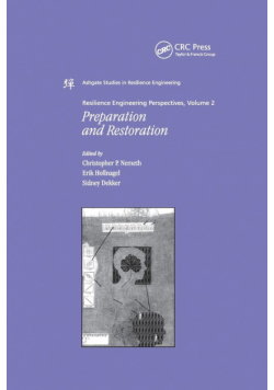 Resilience Engineering Perspectives, Volume 2