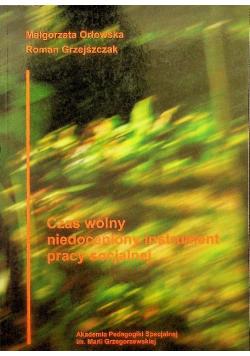 Czas wolny niedoceniony instrument pracy socjalnej