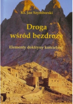 Droga wśród bezdroży. Elementy doktryny kościelnej