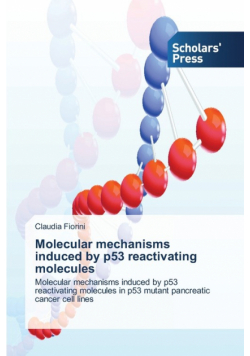 Molecular mechanisms induced by p53 reactivating molecules