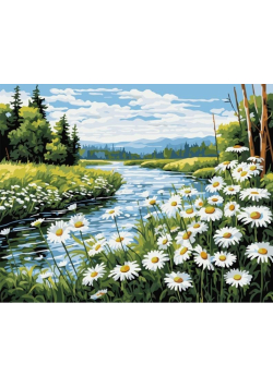 Malowanie po numerach Rzeka 40x50 cm