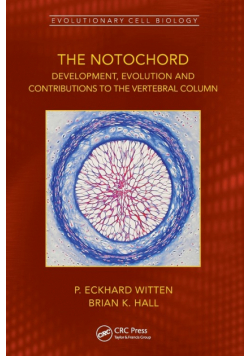 The Notochord