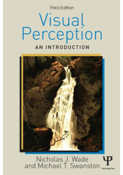Visual Perception
