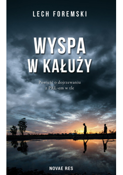 Wyspa w kałuży