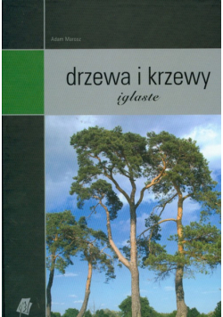 Drzewa i krzewy iglaste