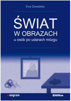 Świat w obrazach u osób po udarach mózgu