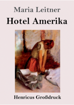 Hotel Amerika (Großdruck)