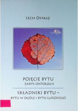 Pojęcie bytu zarys ontologii