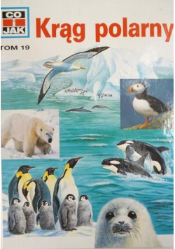 Krąg polarny
