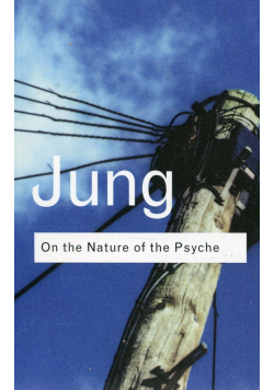On the Nature of the Psyche