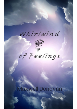 Whirlwind of Feelings