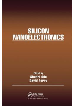 Silicon Nanoelectronics