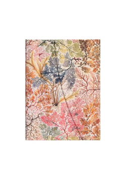 Notes Anemone Midi Linia