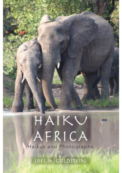 Haiku Africa