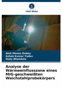 Analyse der Wärmeeinflusszone eines MIG-geschweißten Weichstahlprobekörpers