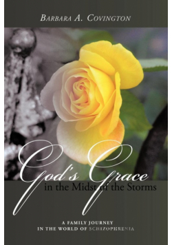 God's Grace in the Midst of the Storms