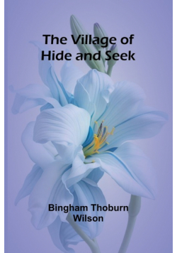 The Village of Hide and Seek