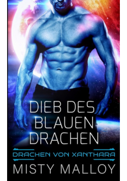 Dieb des blauen Drachen