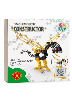 Mały konstruktor Pterodactyl 282 elementy