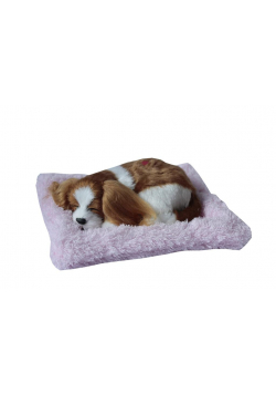 Śpiący piesek na poduszce - Spaniel