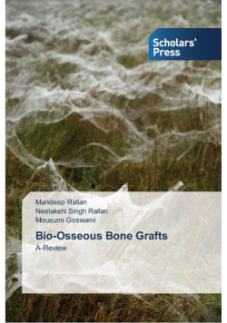Bio-Osseous Bone Grafts