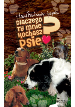 Dlaczego ty mnie kochasz psie