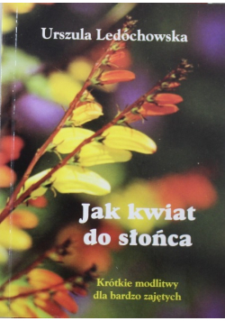Jak kwiat do słońca