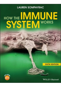 How the Immune System Works