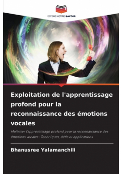 Exploitation de l'apprentissage profond pour la reconnaissance des émotions vocales