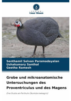 Grobe und mikroanatomische Untersuchungen des Proventriculus und des Magens
