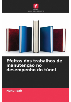 Efeitos dos trabalhos de manutenção no desempenho do túnel