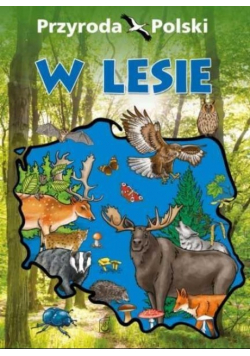 Przyroda Polski W lesie