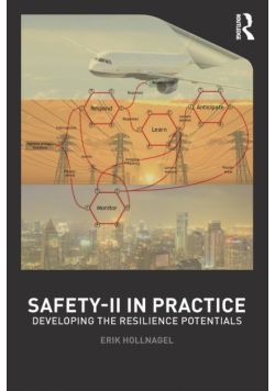 Safety-II in Practice
